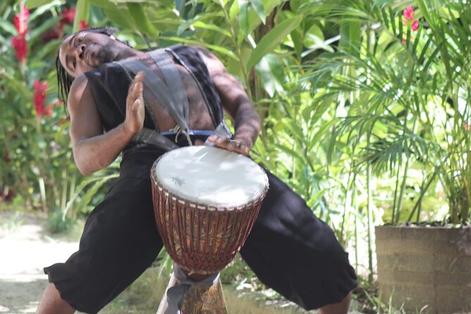 Blue Hole and Dunn’s River Falls Tour with Lunch and Cocktails at Reggae Hill - Who should book this Jamaican combination tour?