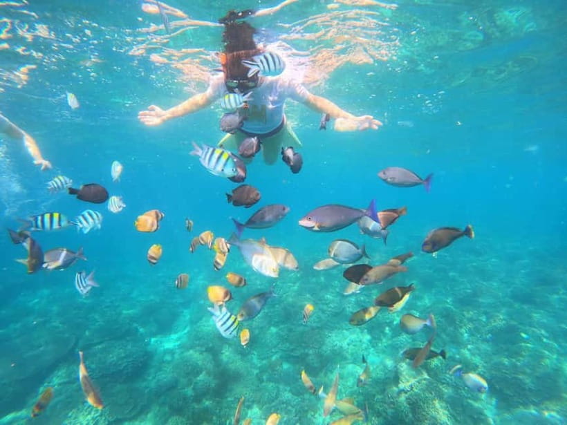 Blue Lagon Snorkeling, Waterfall, and Celuk Village Tour - Who should book this experience?