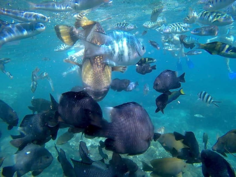 Blue Lagon Snorkeling, Waterfall, and Celuk Village Tour - A big day from Bali’s coast to its villages