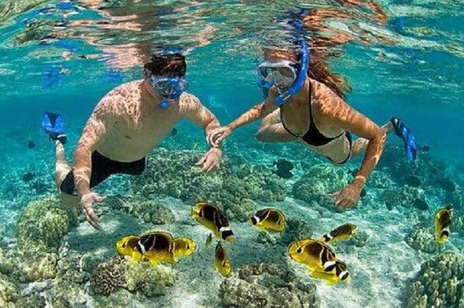 Blue Lagoon Snorkeling and Lunch - Kanto Lampo - Suwat Waterfall - All inclusive - Shower, changing room, and lunch at Topi Inn