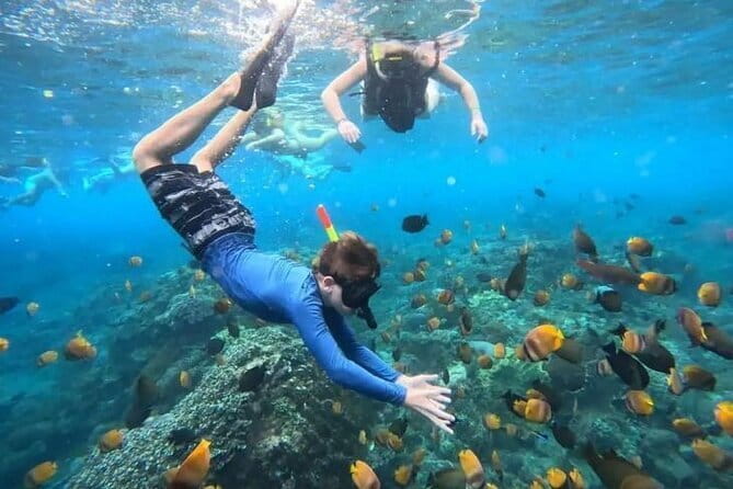 Blue Lagoon Snorkeling with Lunch and Waterfall in Ubud - Key points to know before booking