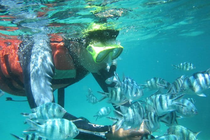 Blue Lagoon Snorkeling with Lunch and Waterfall in Ubud - Lunch, showers, and the details that improve the day