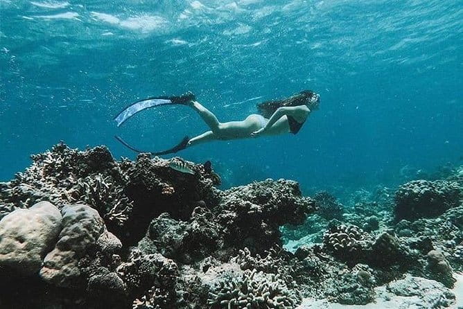 Blue Lagoon Snorkeling with Lunch and Waterfall in Ubud - Who will enjoy this tour most?