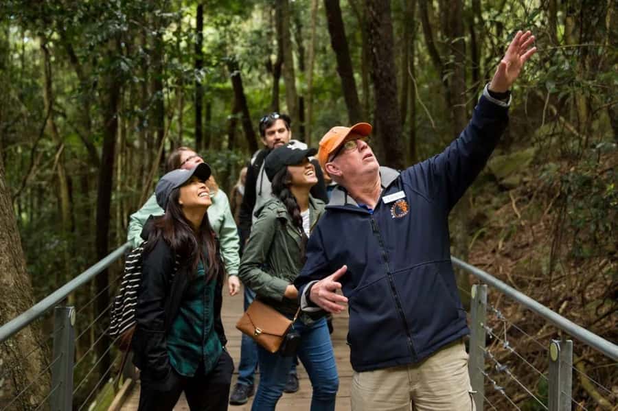 Blue Mountain Small Group Scenic World, Wildlife, Waterfall - Key points to know before booking