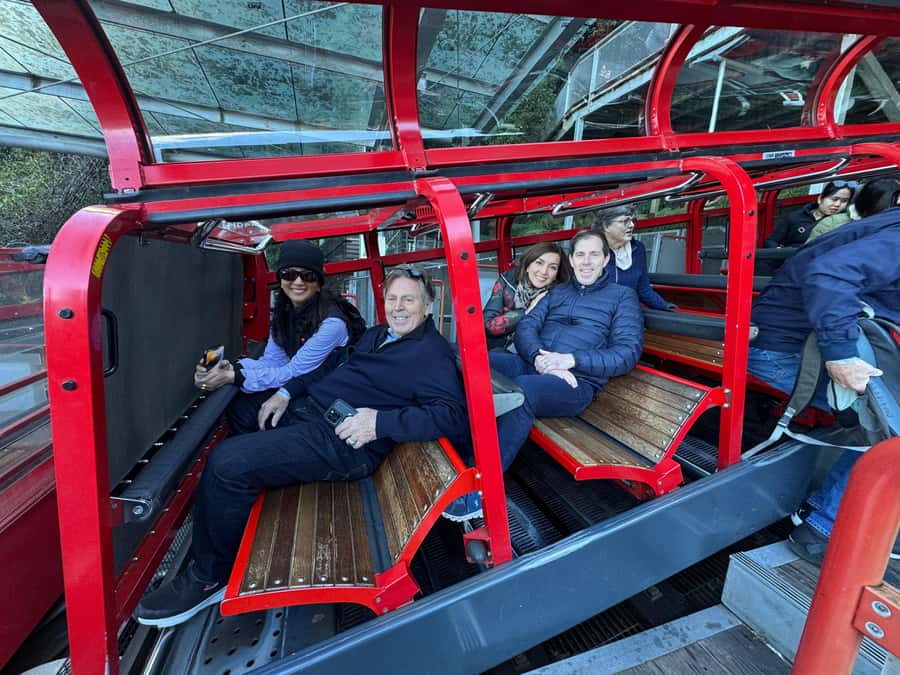 Blue Mountain Small Group Scenic World, Wildlife, Waterfall - Featherdale or Sydney Zoo after the mountains