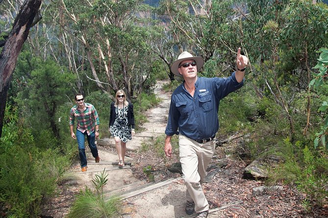Blue Mountains Day Tour With Bushwalks, Waterfalls & Featherdale - Why this Sydney day trip works
