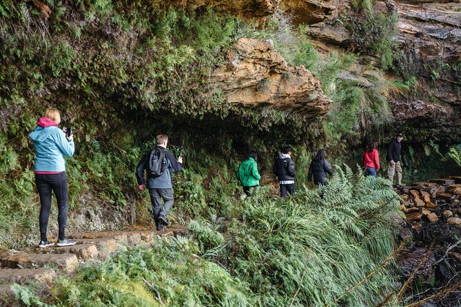 Blue Mountains Day Tour With Bushwalks, Waterfalls & Featherdale - Katoomba, Leura, and lunch on your own