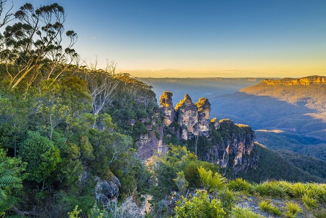 Blue Mountains Private Tour | Koala, Kangaroo, & Waterfalls Day - Key points to know before you book