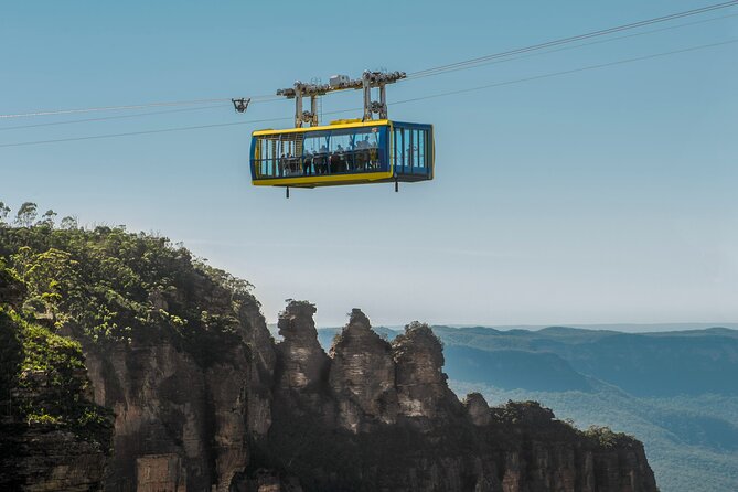 Blue Mountains Private Tour | Koala, Kangaroo, & Waterfalls Day - Rocky and the value of a private guide