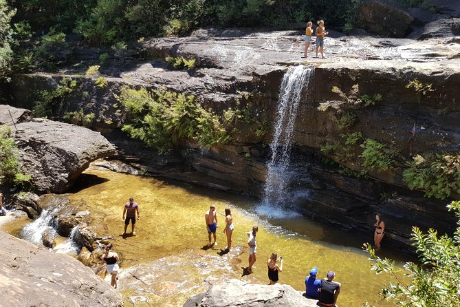 Blue Mountains Small Group Tour with Waterfall Walk & Fresh Lunch - Value at $86.07