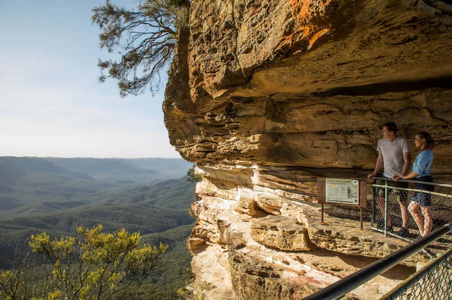 Blue Mountains Sunset Waterfalls Wildlife Tour From Sydney - Eucalyptus country, wildlife, and local stories