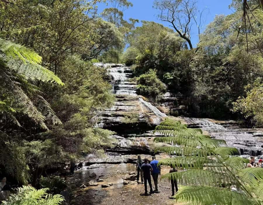 Blue Mountains Tour, Katoomba Falls & Cockatoos Small Group - Why this 10-hour Blue Mountains tour works