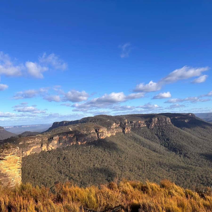 Blue Mountains Tour, Katoomba Falls & Cockatoos Small Group - Leura, the gentle final stop