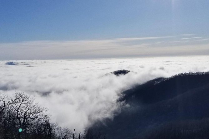 Blue Ridge Parkway Waterfalls Hiking Tour from Asheville - Pisgah Forest and the drive to the first falls