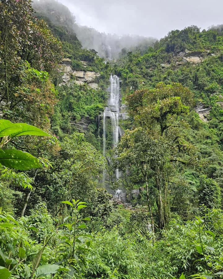 Bogotá: Visit Colombia's Highest Waterfalls & Guadalupe Hill - Key Points to Know Before You Book