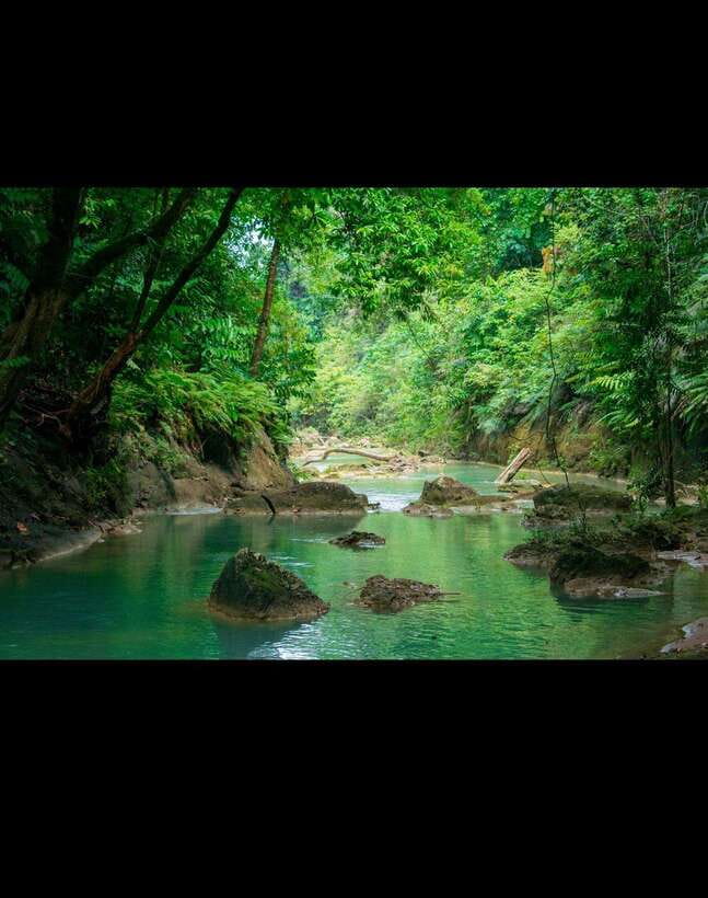 Bohol: Waterfall Hopping & Secret Jungle Trails Guided Tour - What $42 gets you