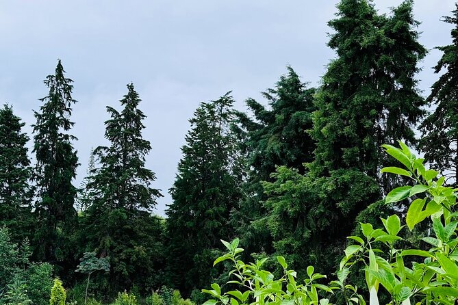 Botanical Tour and waterfall swim at The Cloudforest Bioreserve - Who will enjoy this experience most?