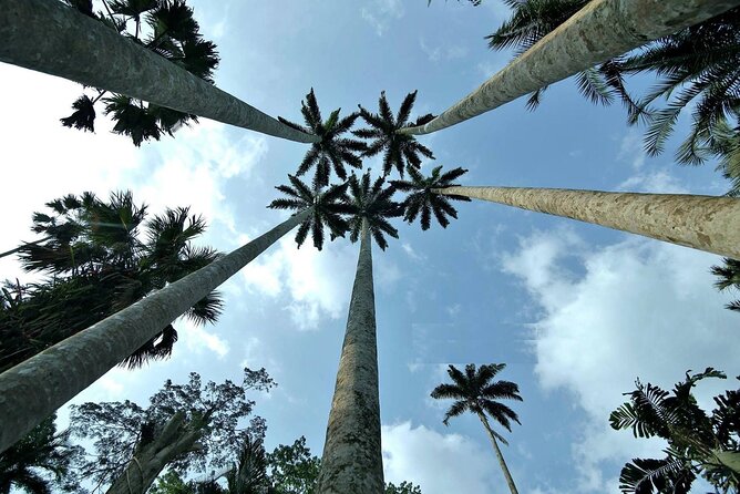 Boti Falls, Umbrella Rock, Aburi Gardens & Cocoa Farm Day Tour - Why this eastern Ghana day trip works