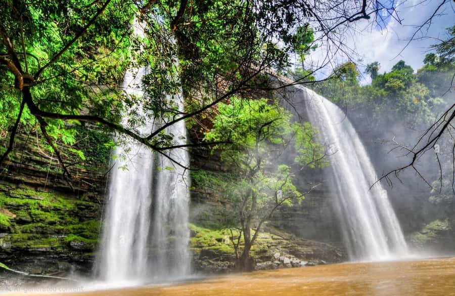 Boti Falls, Umbrella Rock, Aburi Gardens & Cocoa Farm Tour - Key points to know before you book
