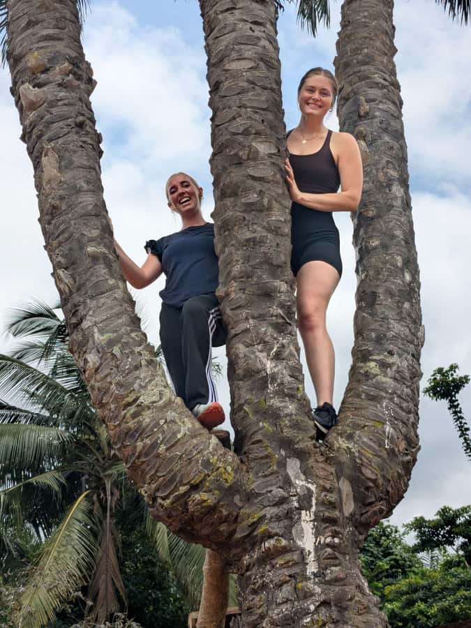 Boti Falls, Umbrella Rock, Aburi Gardens & Cocoa Farm Tour - Tetteh Quarshie Cocoa Farm: from pod to chocolate
