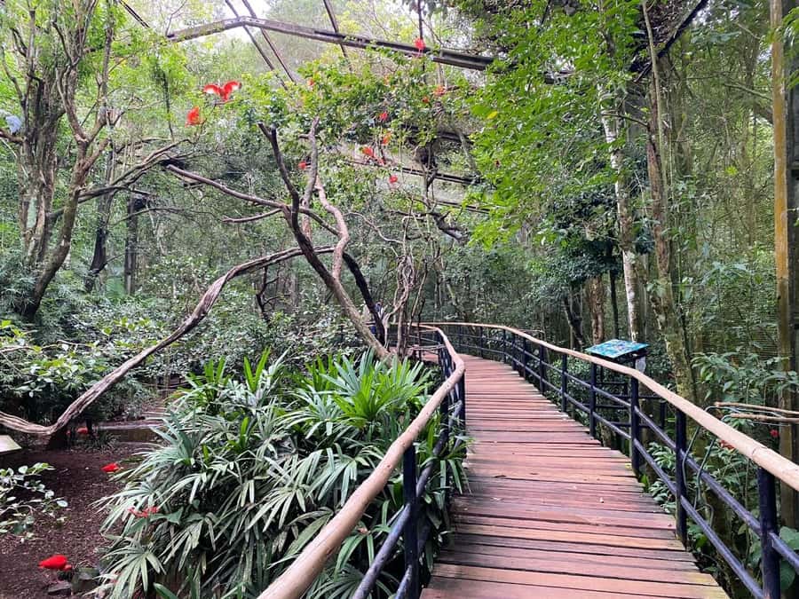 Brazilian Falls, Bird Park and Itaipu Dam - My recommendation