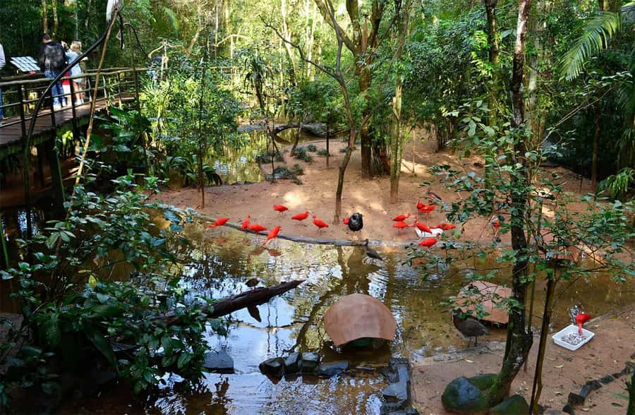 Brazilian Falls, Bird Park and Itaipu Dam - Who gets the best value from this tour?