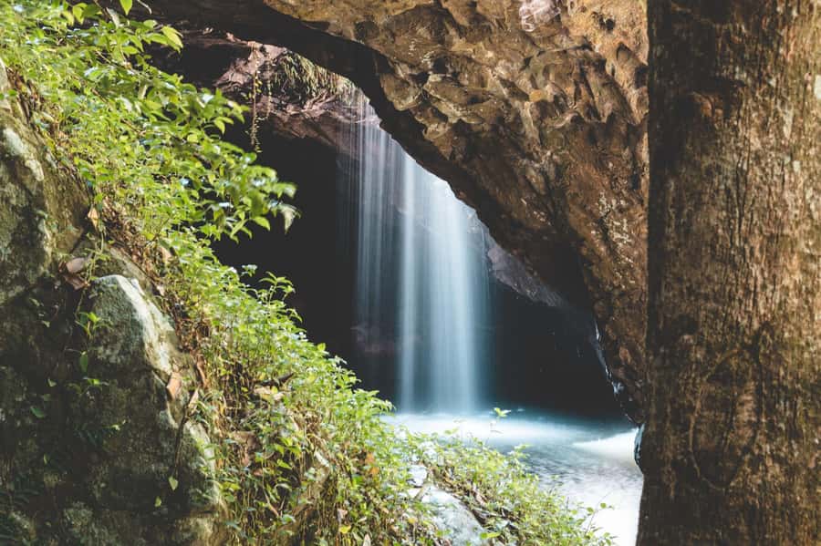 Brisbane: Rainforests, Waterfalls and Glow Worm Cave Tour - Hang Glider Lookout and the Scenic Rim views