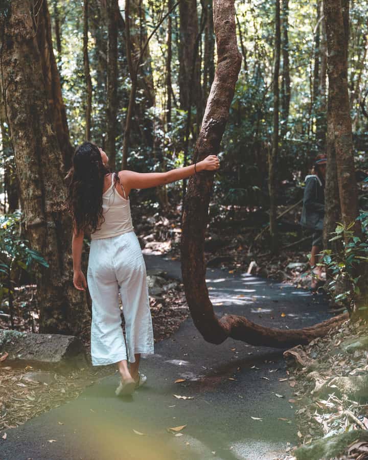 Brisbane: Rainforests, Waterfalls and Glow Worm Cave Tour - Through Numinbah Valley toward Natural Bridge