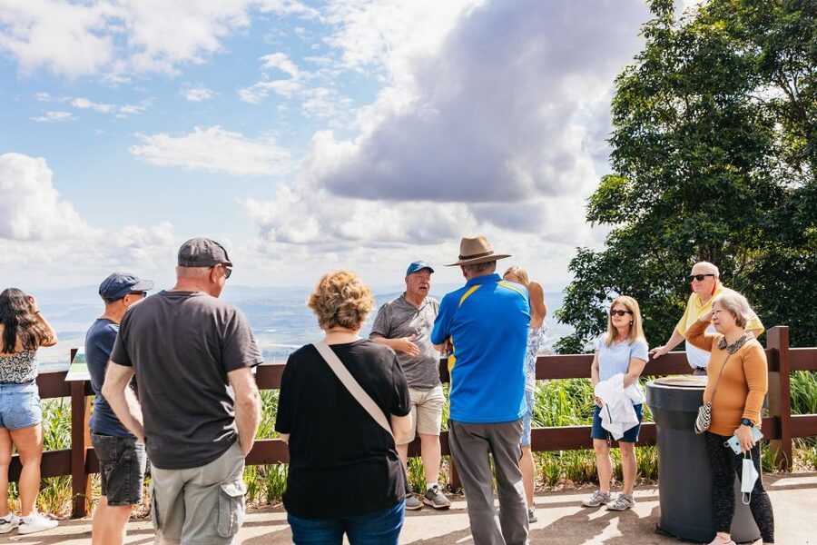 Brisbane: Rainforests, Waterfalls and Glow Worm Cave Tour - Natural Bridge in Springbrook National Park