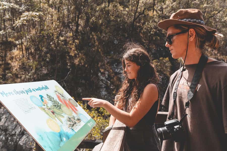 Brisbane: Rainforests, Waterfalls and Glow Worm Cave Tour - Hinze Dam closes the day