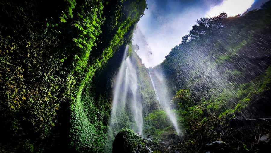 Bromo Sunrise & Madakaripura Waterfall Private 1 Day Tour - Key points to know before booking