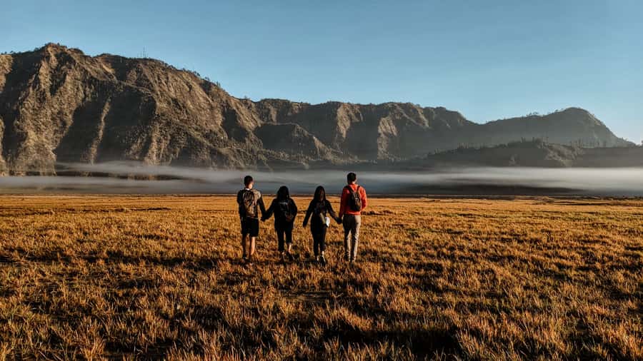 Bromo Sunrise & Madakaripura Waterfall Private 1 Day Tour - King Kong Hills and the first light over Bromo