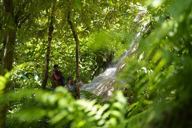 Bua Tong Waterfall Adventure& Huge Cave included Thai Buffet Tour - Lunch, snacks, and the value of $34.07