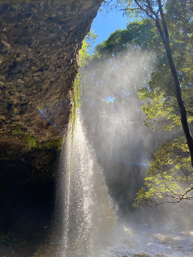 Byron Bay: Behind The Bay Waterfalls & Hidden Gems Day Tour - Why this six-hour outing works so well