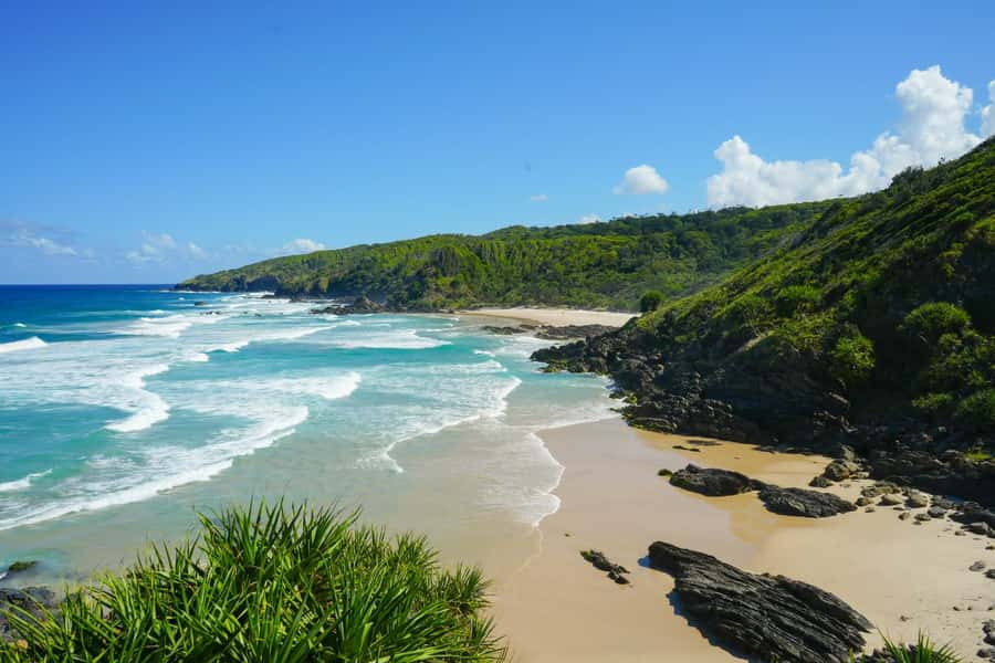 Byron Bay: Behind The Bay Waterfalls & Hidden Gems Day Tour - Killen Falls: a cool first swim in the hinterland