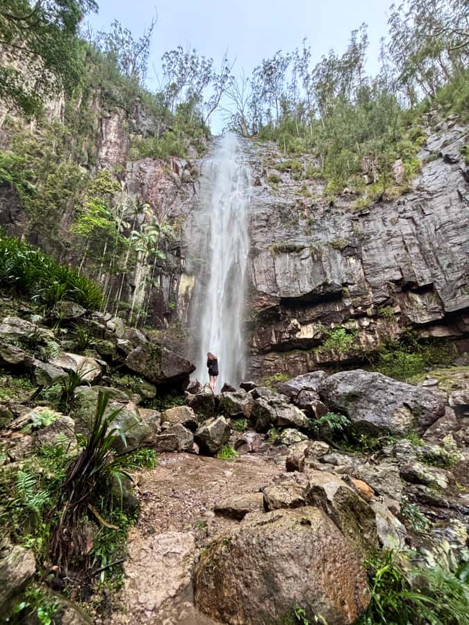 Byron Bay: Glowworms, Waterfalls & Rainforest Experience - Key points to know before you go