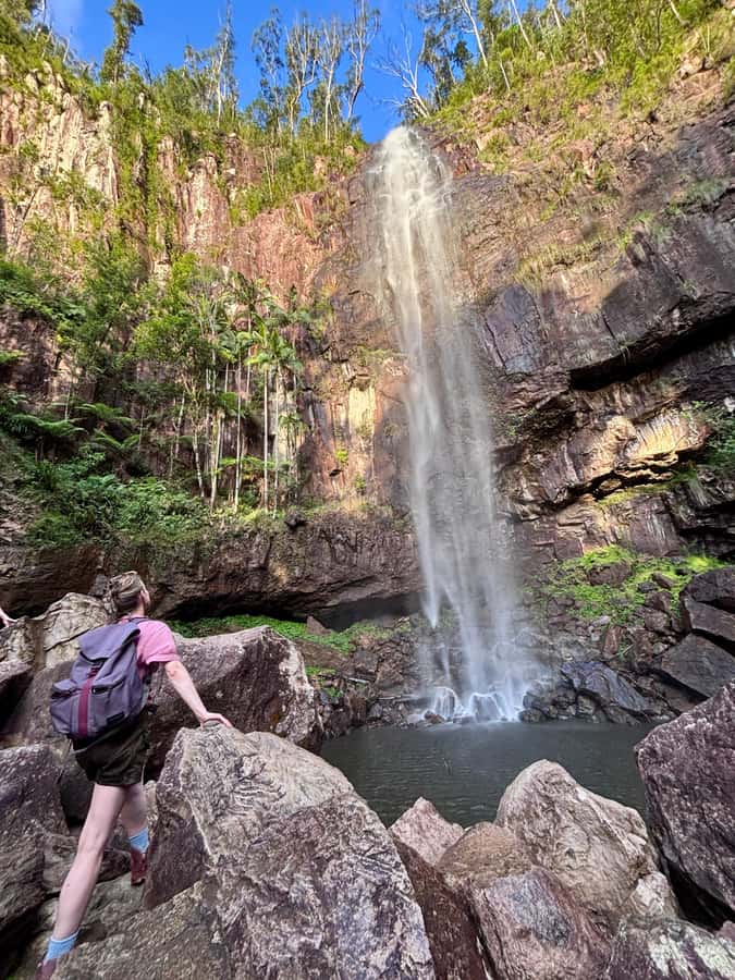 Byron Bay: Glowworms, Waterfalls & Rainforest Experience - A lookout before the rainforest