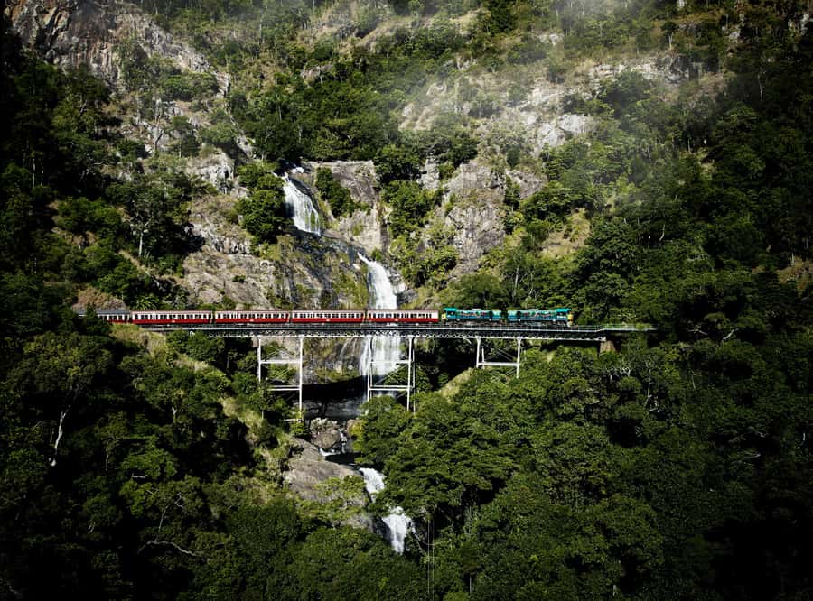 Cairns: Cattana Wetlands, Barron Falls & Kuranda Railway - Four flavors at Emerald Creek Ice Creamery