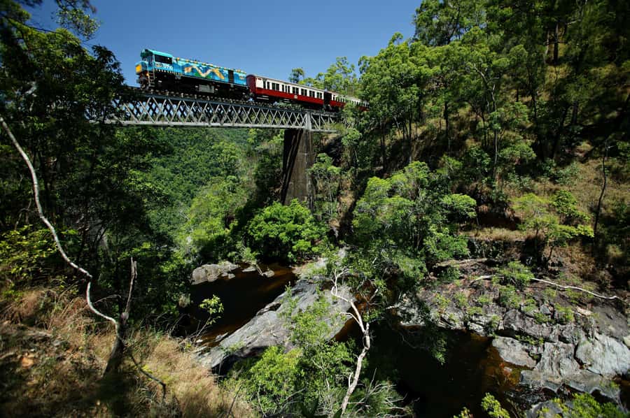 Cairns: Cattana Wetlands, Barron Falls & Kuranda Railway - Riding the Kuranda Scenic Railway