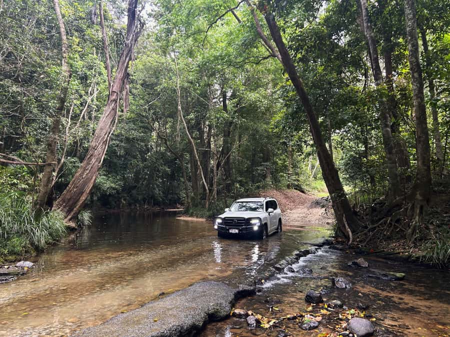 Cairns: Forest and Waterfalls Half-Day 4WD Guided Adventure - Key details before you book