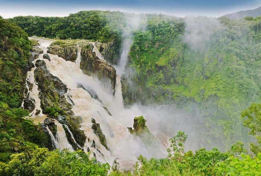 Cairns: Forest and Waterfalls Half-Day 4WD Guided Adventure - Why this five-hour trip works from Cairns