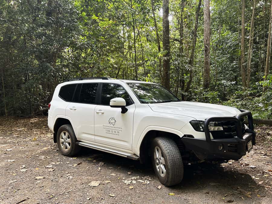 Cairns: Forest and Waterfalls Half-Day 4WD Guided Adventure - Clohesy River Road and the 4WD section