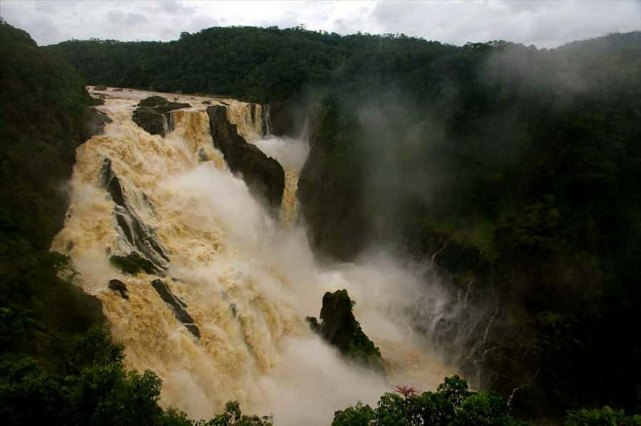 Cairns: Forest and Waterfalls Half-Day 4WD Guided Adventure - Timing, pickup, and what to pack
