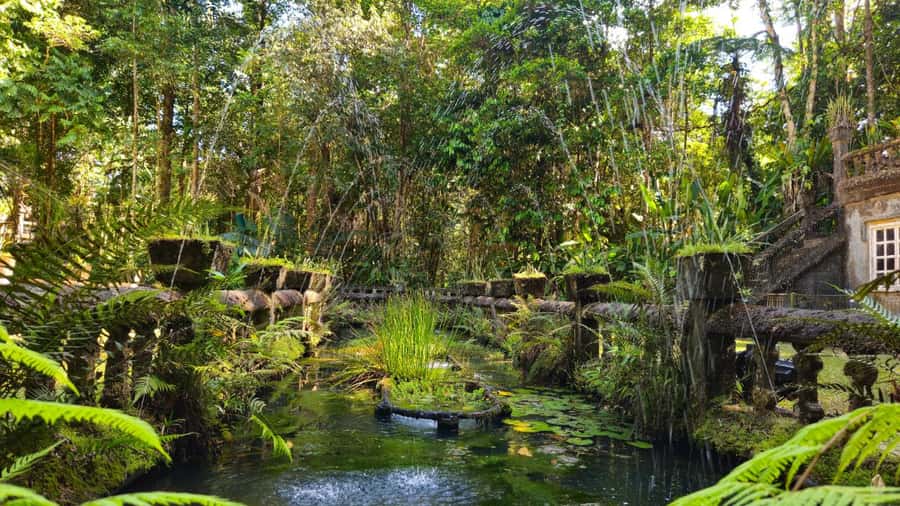 Cairns: Paronella, Lake Barrine & Millaa Millaa Falls Tour - Key points before you book