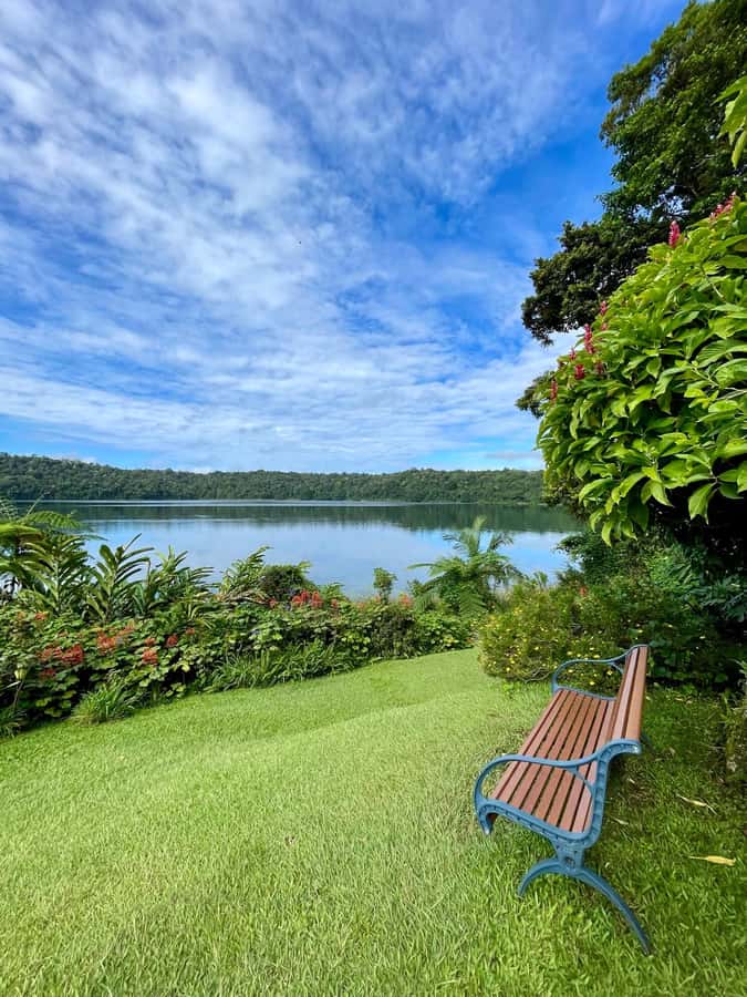 Cairns: Paronella, Lake Barrine & Millaa Millaa Falls Tour - Yungaburra and the giant Curtain Fig Tree