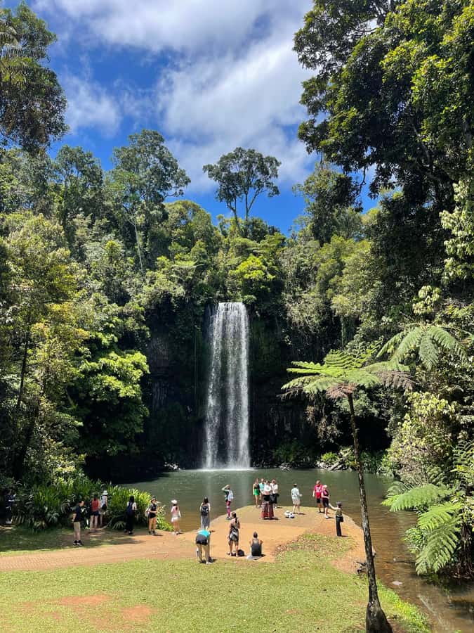 Cairns: Paronella, Lake Barrine & Millaa Millaa Falls Tour - Millaa Millaa Falls and the best chance to swim
