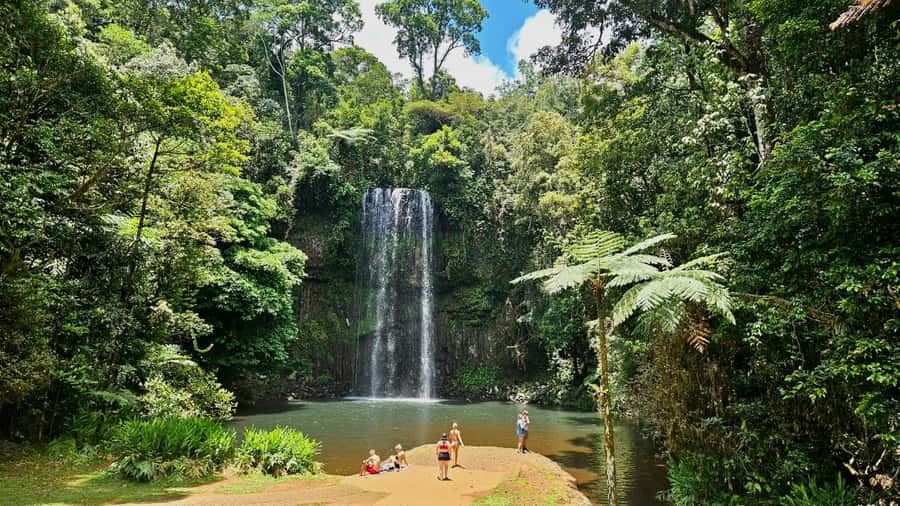 Cairns: Paronella, Lake Barrine & Millaa Millaa Falls Tour - Climbing the Gillies Highway above Cairns