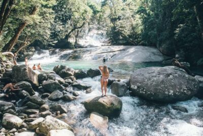 Waterfall and Daintree Rainforest Tour – 2 Day Tours