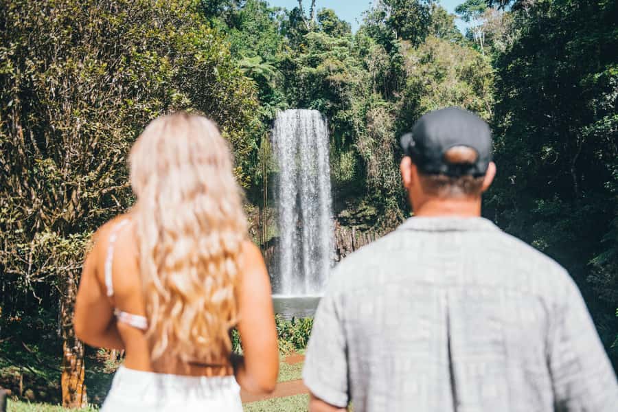 Cairns: Waterfall and Daintree Rainforest Tour - 2 Day Tours - Group size, guiding, and comfort on the coach