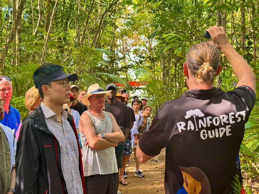 Cairns: Waterfall and Daintree Rainforest Tour - 2 Day Tours - What to pack for both days